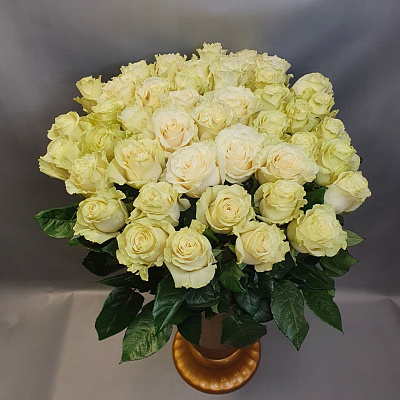 Роза 70-80 см мондиаль