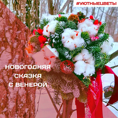 Новогодняя сказка с Венерой Новогодняя сказка с Венерой