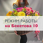 Изменился режим работы салона по Бекетова 10