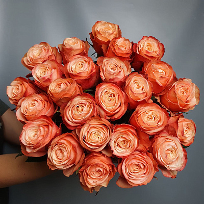 Роза 50см персиковый