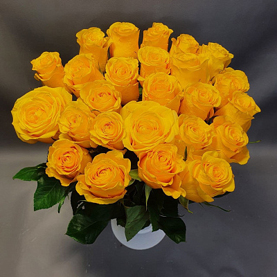 Роза 50 см жёлтая.